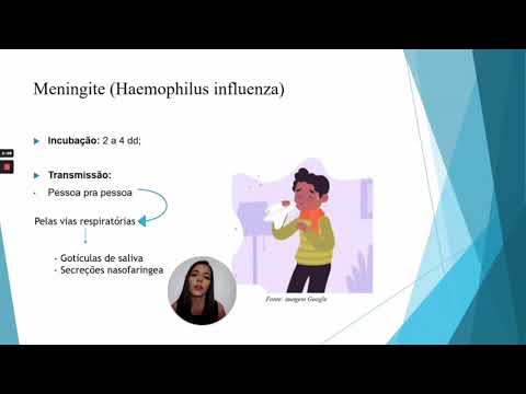 Microbiologia - Meningite Bacteriana (haemophillus influenzae)