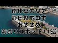 【南伊豆の釣り場】『静岡県下田市』の海釣りスポット11選