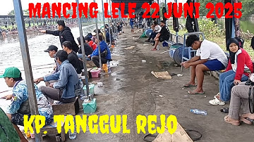 LOMBA MANCING LELE MINGGU 22 JUNI 25 KOLAM TANGGUL REJO........👍👍