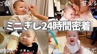 自由奔放なミニぎしを1日密着してみたら可愛すぎて幸せな空間すぎた