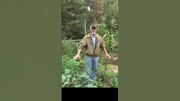 Mixing your mulch #garden #gardeningtips #mulch
