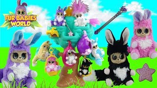 Fur Babies World Haul from Moose Toys Princess Melina and the Dream Tree Unboxing and Review