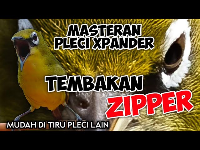 MASTERAN PLECI XPANDER TEMBAKAN ZIPPER TERBARU 2022 class=