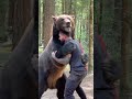 Capture de la vidéo Alex Terrible Fight Bear