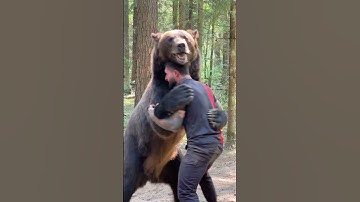 Alex Terrible fight bear