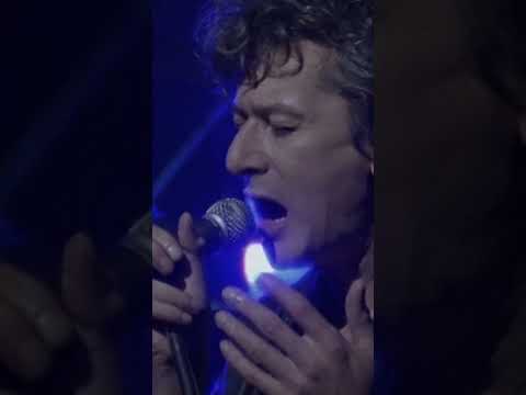 Un âne plane ♫♪ #bashung