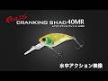 クランキングシャッド40MR〜水中アクション映像