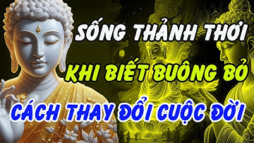 Sống Thảnh Thơi Khi Biết Buông Bỏ – Lời Phật Dạy Thay Đổi Cuộc Đời | Phật Pháp Linh Ứng