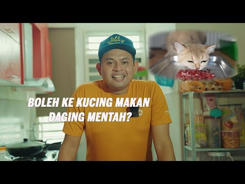 Video: Bolehkah kucing makan ayam belanda?