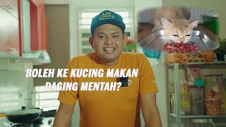 Boleh ke Kucing makan daging mentah? jom saksikan by Arif Niza 20,310 views 2 years ago 12 minutes