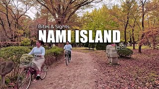 Short Trip Big Thrill Nami Island South Korea In 12 Minutes