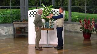 Roberta's 2-piece Sweetly Scented Philippine Jasmine on QVC