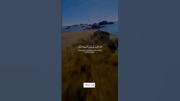 تلاوة هادئة تريح االعصاب ️♥ قران كريم بصوت جميل جدا #تلاوة_خاشعة #قران_كريم #قرآن #اكتب_شي_تؤجر_عليه
