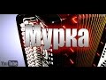 Мурка. на гармони. Murka. na garmoni