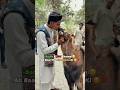 Bakra Eid Coming Soon 2025 Shorts Dailyvlog Bakra Goat Bakraeid Bakraeidspecial2025 