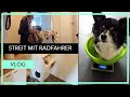 Radfahrerstruggle  neuer katzenschrank mit klo fr zelda  ostersuche  vlog