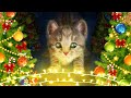 My Favorite Cat Little Kitten Preschool -  Play Fun Cute Kitten Care Games For Kids Children