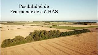 Colonia - 22,5 Has. Matamora