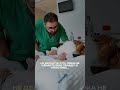 Многие приходят с одной мыслью: «Хочу изменить нос, лицо, грудь… но боюсь».
