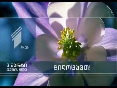 3 მარტი - დედის დღე. გილოცავთ!