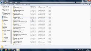 Dani Answers: How to install mods and fixing ID conflicts