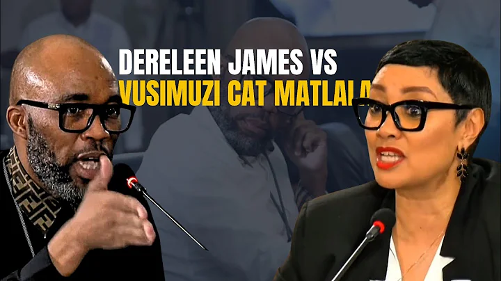 LIES & LOUD VOICES: Dereleen James clashes with 'Cat' Matlala in Ad Hoc Committee heated Exchange