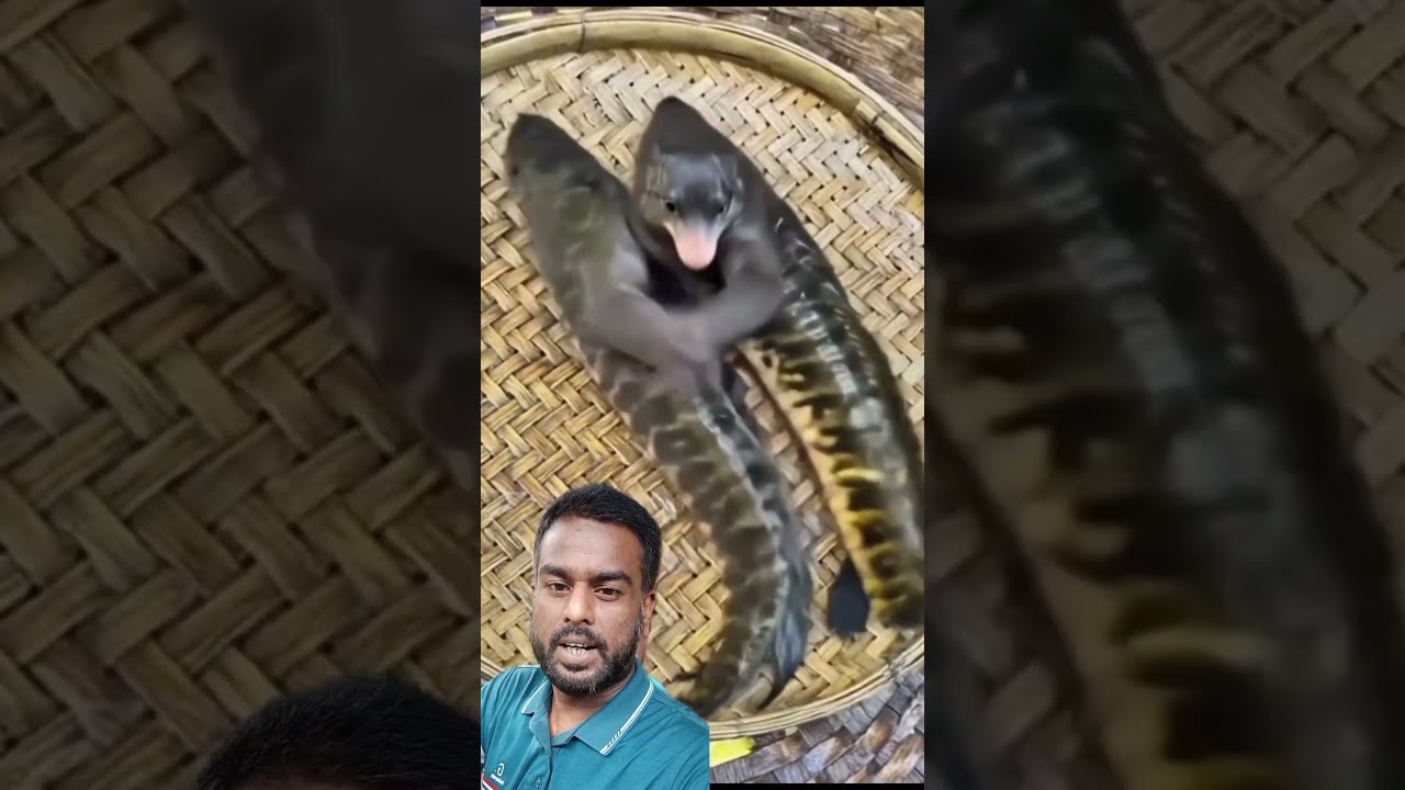  Funny Comedyfilms Whowillbemylifepartnerta Funnycomedy Duet