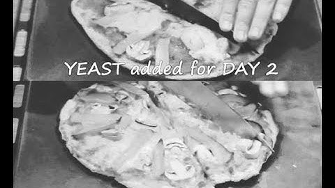 Self-raising flour pizza - Does adding yeast make a difference?