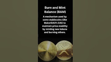 Burn and Mint Balance (BAM) | Must-Know Cryptocurrency Terms Explained Simply