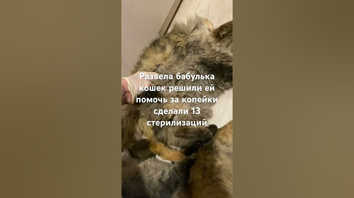 #ветеринарнаяклиника #казань #бездомнаясобака #ветеринар #рентген 2500488т