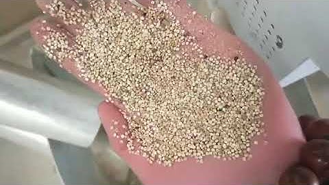 grain optical sorting machine for seperating quinoa on customer site