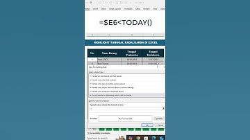 Trik Highlight Tanggal Kadaluarsa di Excel #excel #tipspraktis #exceltips #exceltricks
