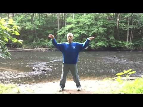 Qigong in 18 Figures 