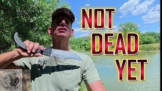 JOEX IS NOT DEAD YET / CHANNEL UPDATE / YOUTUBE HATES ME / ONE FIGHT AFTER ANOTHER / BUNDESHEER