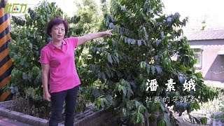 人物臉譜｜城市裡的美麗社區 牡丹心的守護者 潘素娥