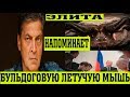 Невзоров сравнил элиту с летучими мышами