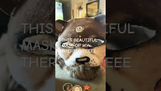 .Cricketz Unboxingggg シViral