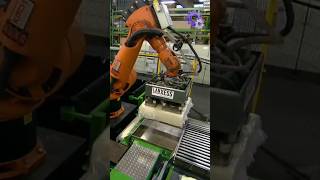 The Tree That Made Driving Possible?