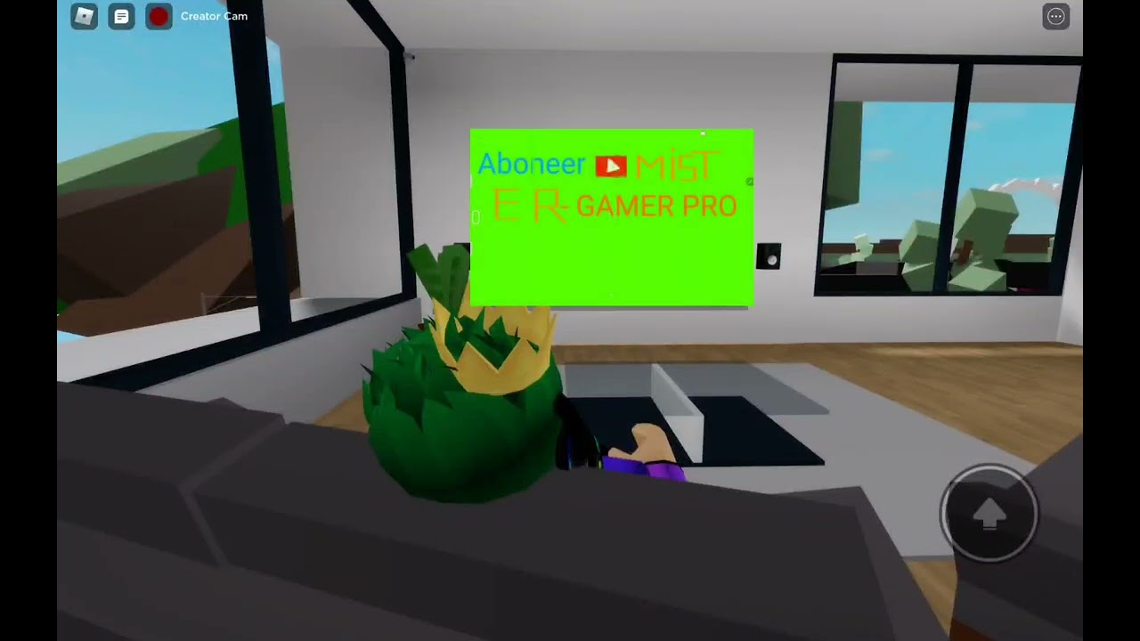 Aboneer Mister-Gamesstar