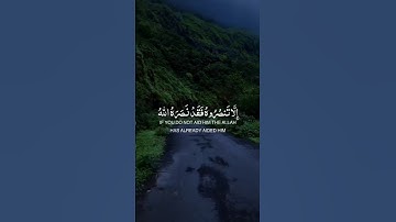 الا تنصروه #عبد_الرحمان_مسعد #سورة_التوبة #تلاوة_خاشعة #quran #القرآن_الكريم_راحه_سمعك_القرآن