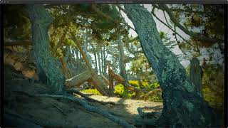 Download Lagu Lobos Creek Trail Download Lagu Lobos Creek Trail
