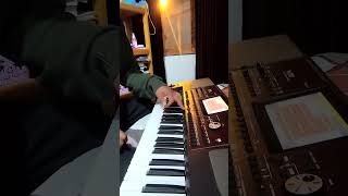 Samples Korg PA700