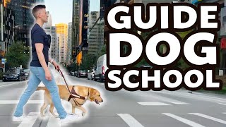 Blind man goes to guide dog school (so cool!)