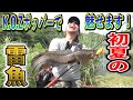 本人が実践!K.O.Zポッパーはこう使え!