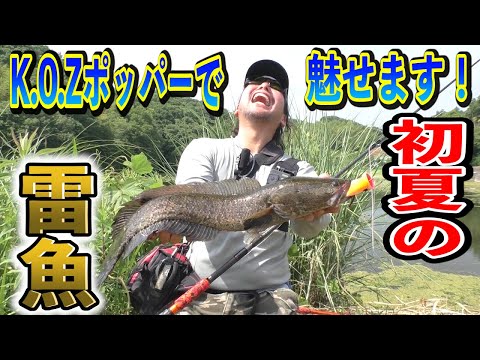 本人が実践！K.O.Zポッパーはこう使え！ - YouTube