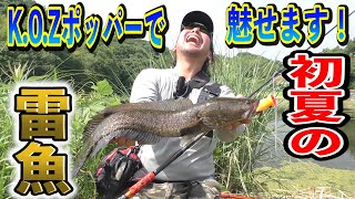 本人が実践！K.O.Zポッパーはこう使え！ - YouTube