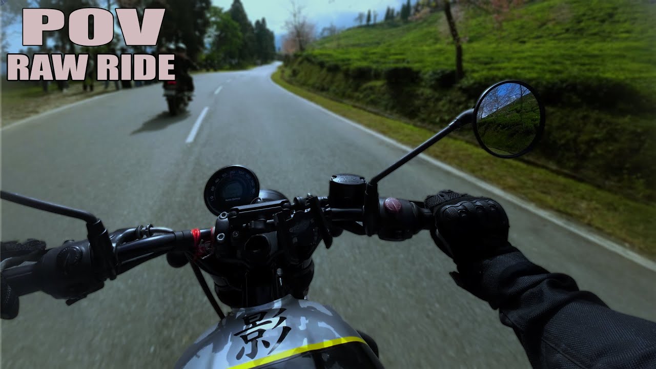 POV: Riding Through Cherry Blossom Roads of Timi, Sikkim 🌸 | Hunter 350 Pure Sound | Tea Garden Ride