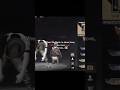 FreeFire 🔥 motivation #gameplay