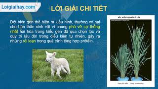 Bài 2 Trang 64 Sgk Sinh Học 9 | Sgk Sinh Lớp 9