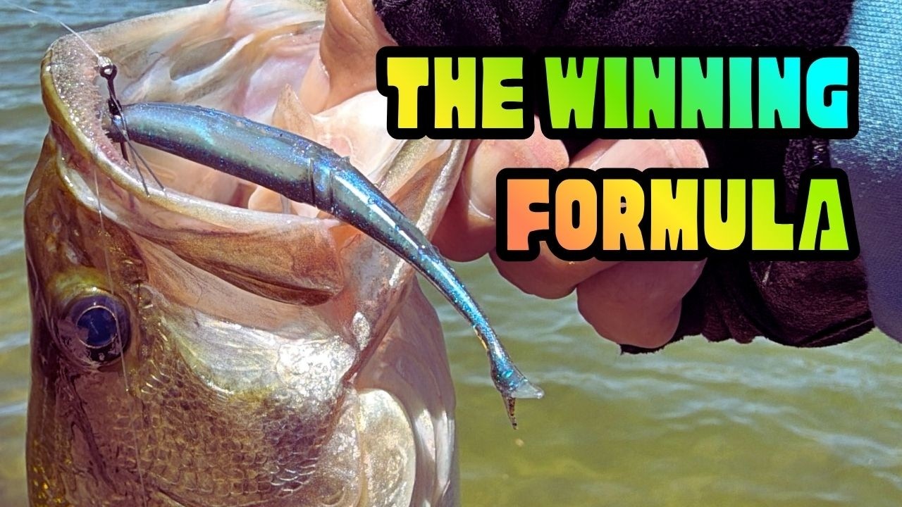 How to Catch Bass After Everyone Else Gives Up
